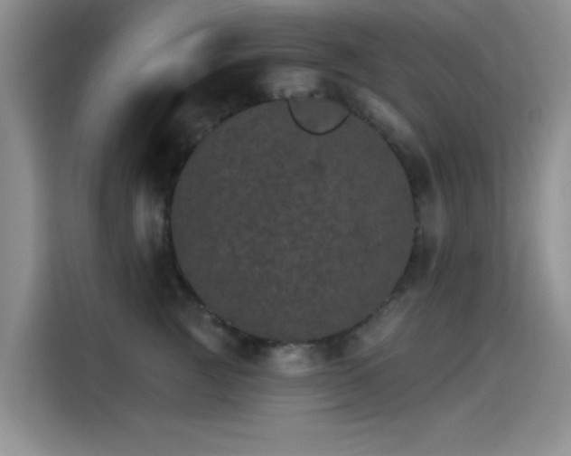 X0000115650761200911171442