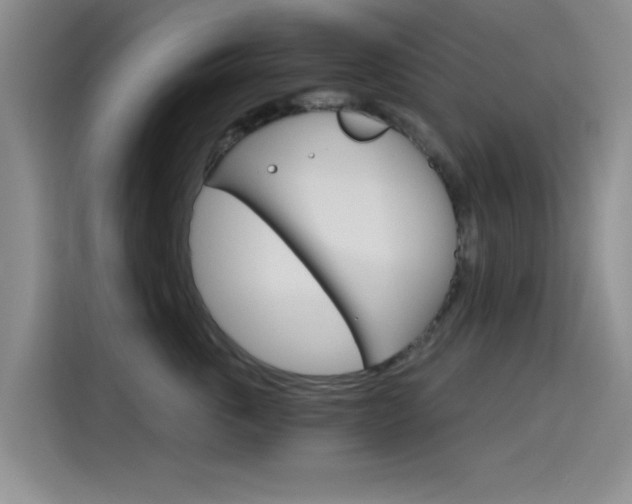 X0000115650763200911171442