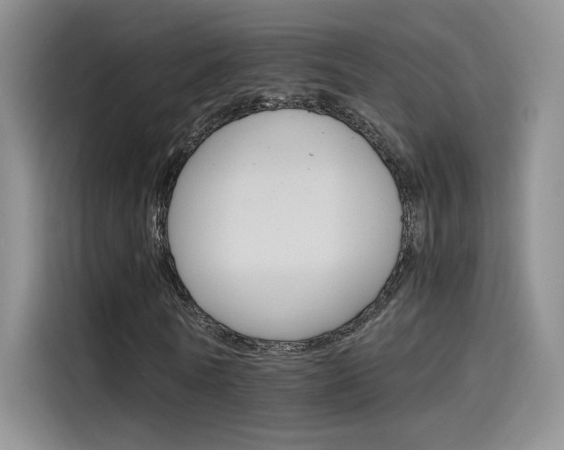 X0000115650770200911171442