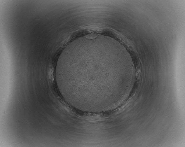 X0000115650772200911171442