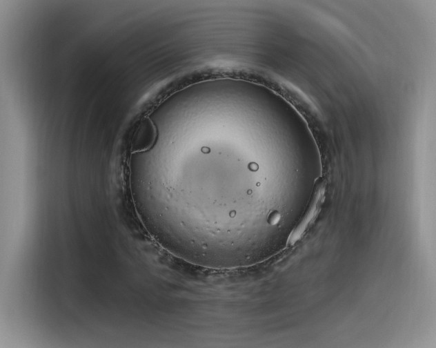 X0000115650776200911171442