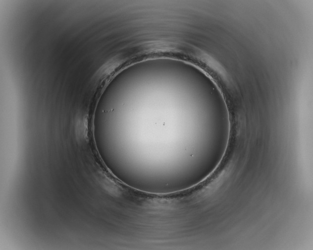 X0000115650777200911171442