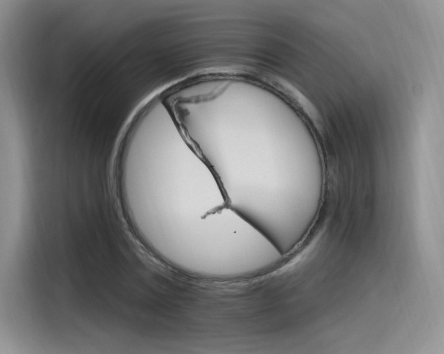 X0000115650779200911171442