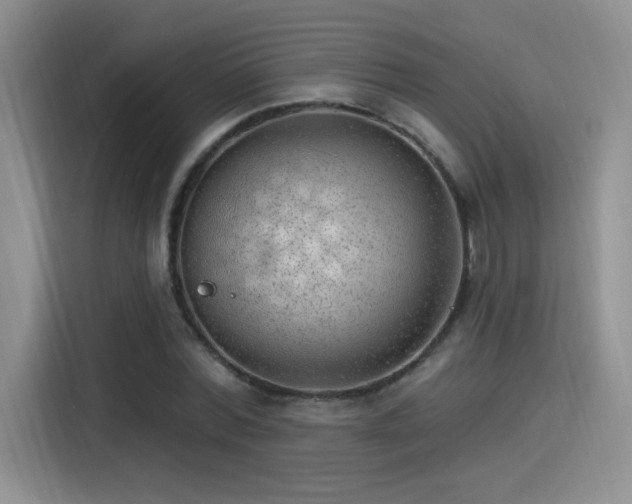 X0000115650780200911171442