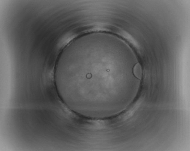 X0000115650785200911171441