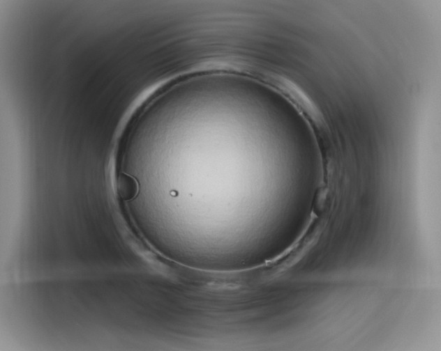 X0000115650788200911171441