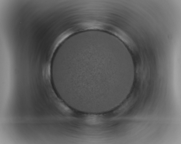 X0000115650790200911171441