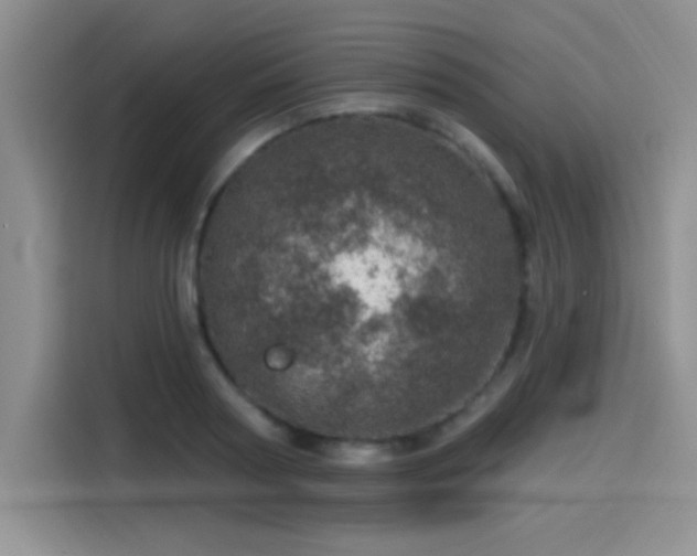 X0000115650794200911171441