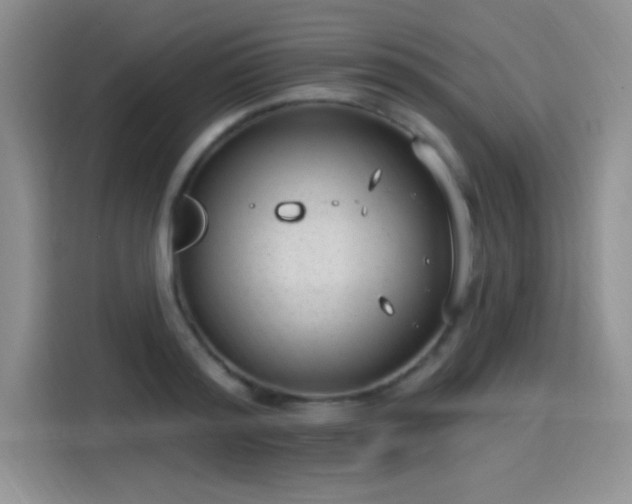 X0000115650796200911171441