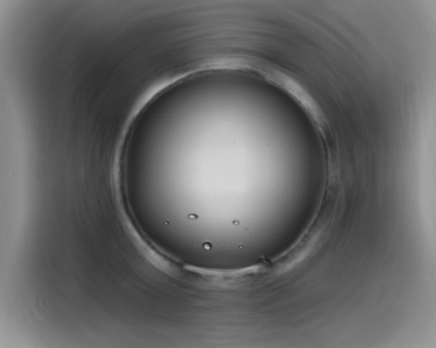 X0000115650803200911171441