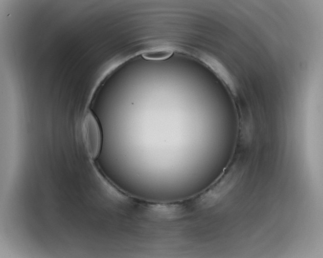 X0000115650805200911171441