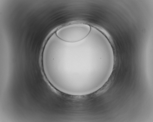 X0000115650807200911171441