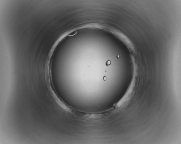 X0000115650808200911171441