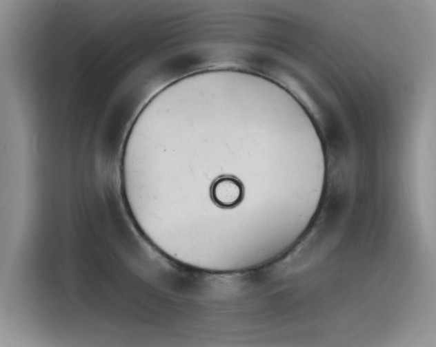 X0000115650810200911171441