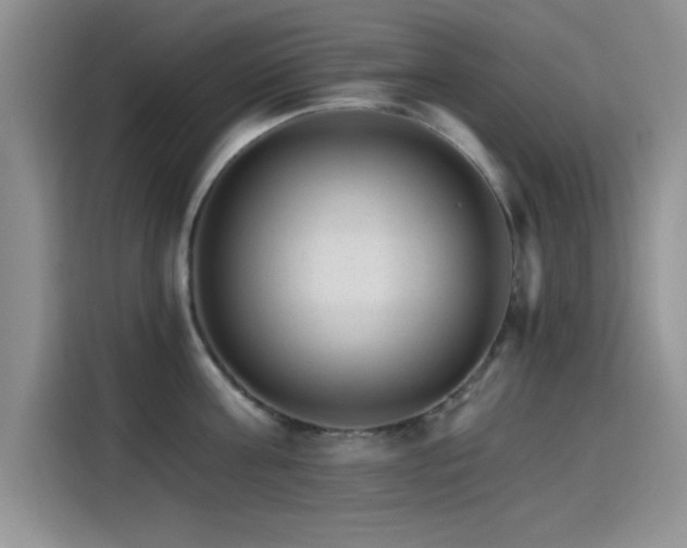 X0000115650811200911171441