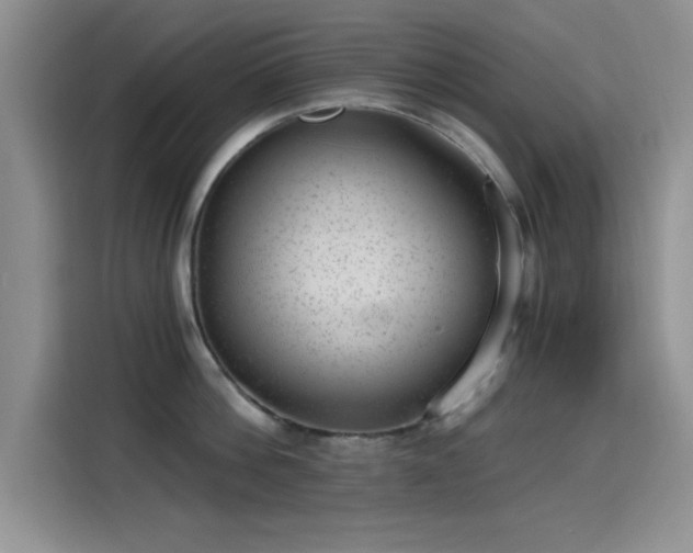 X0000115650812200911171441