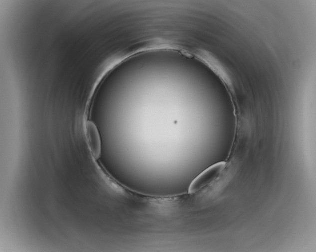 X0000115650813200911171441