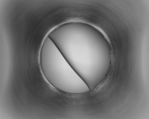 X0000115650815200911171441