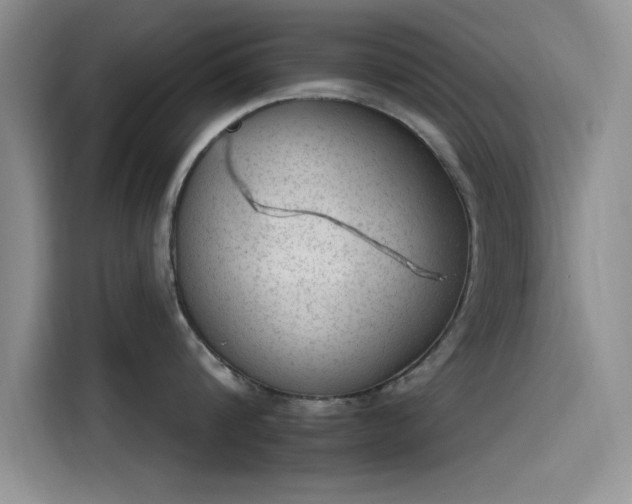 X0000115650816200911171441