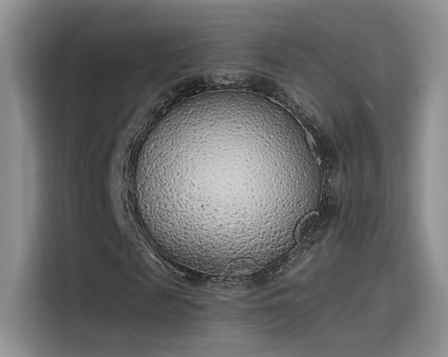 X0000115650817200911171440