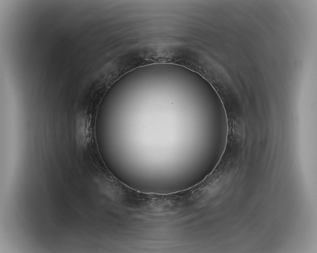 X0000115650818200911171440