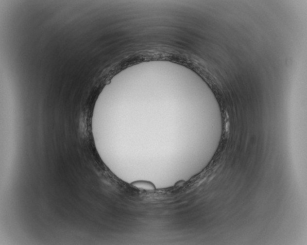 X0000115650819200911171440