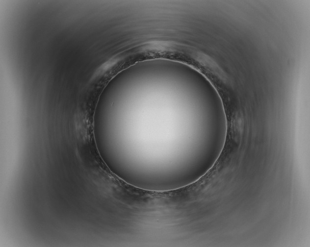 X0000115650822200911171440