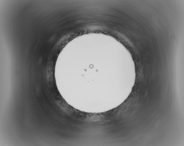 X0000115650824200911171440