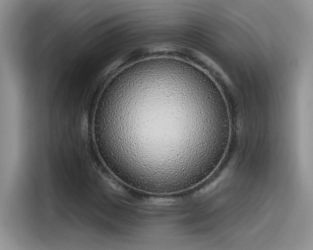 X0000115650825200911171441