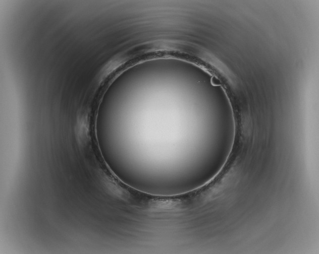 X0000115650826200911171441