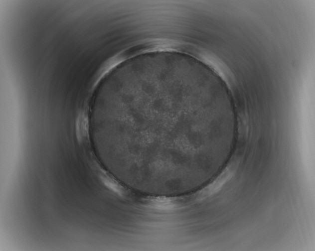 X0000115650827200911171441