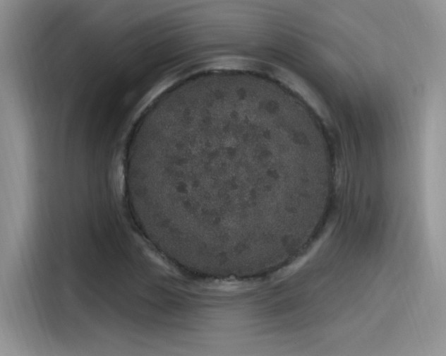 X0000115650829200911171441