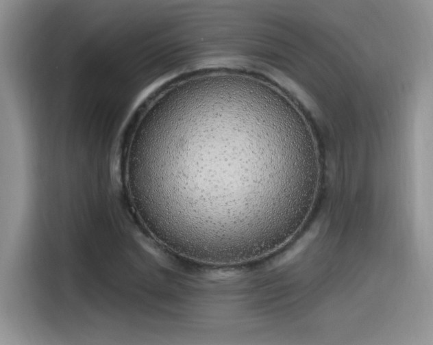 X0000115650830200911171441