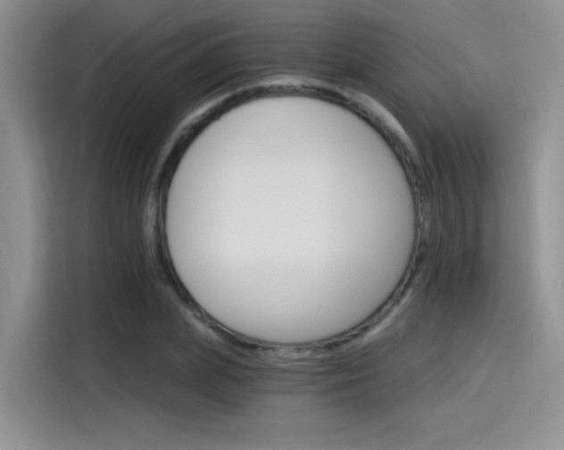 X0000115650831200911171441