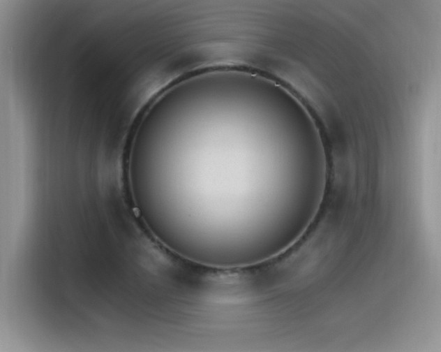 X0000115650834200911171441