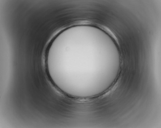 X0000115650835200911171441