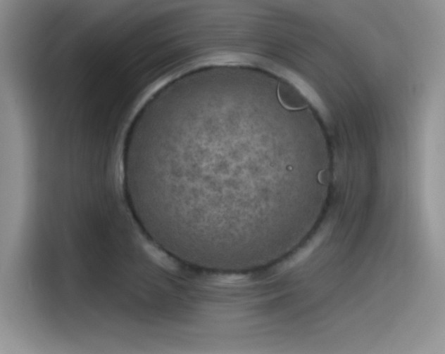 X0000115650837200911171441