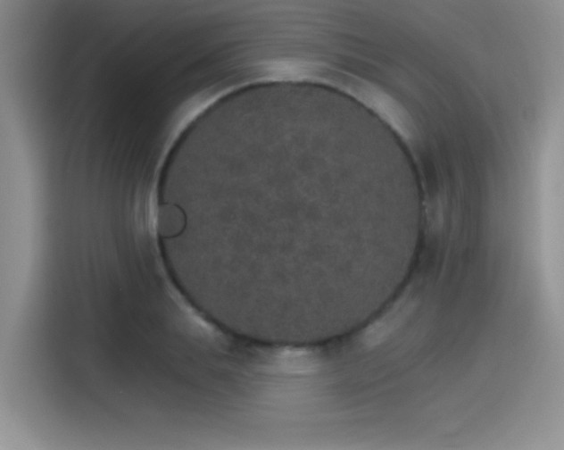 X0000115650839200911171441