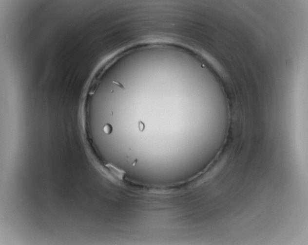 X0000115650840200911171441