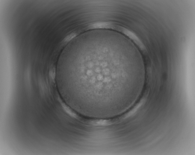 X0000115650841200911171441