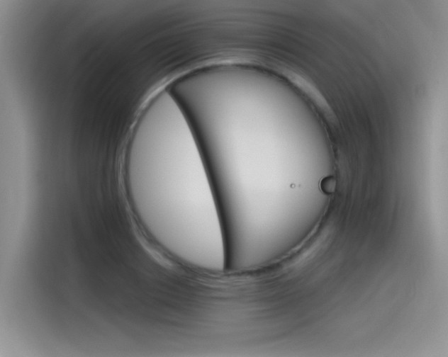 X0000115650842200911171441