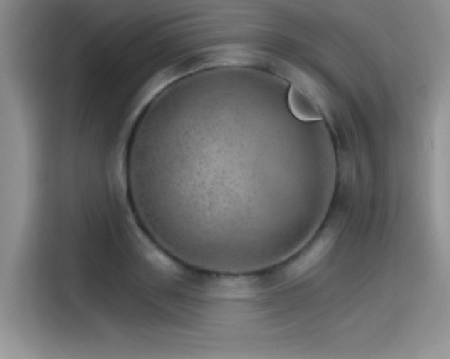 X0000115650843200911171441