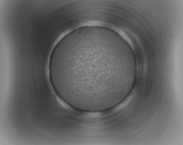 X0000115650845200911171441