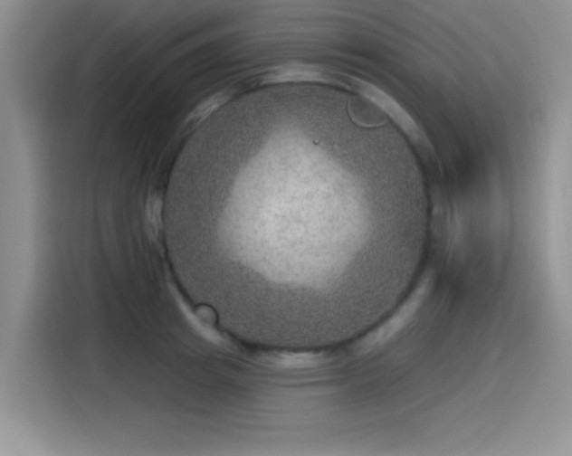 X0000115650849200911171441