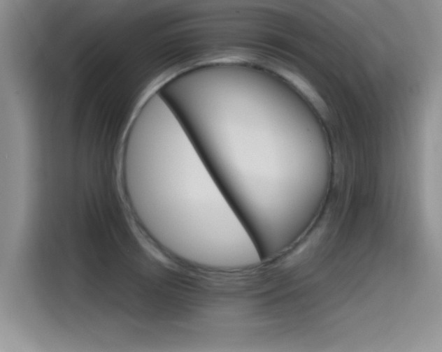 X0000115650850200911171441