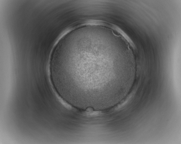 X0000115650853200911171441