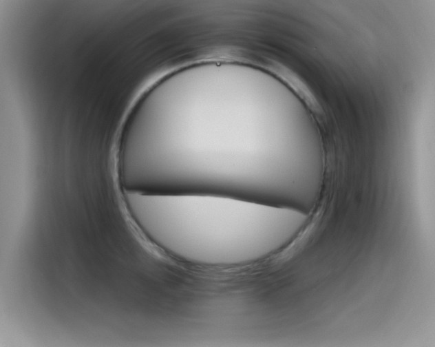 X0000115650854200911171441