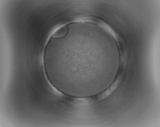 X0000115650855200911171441