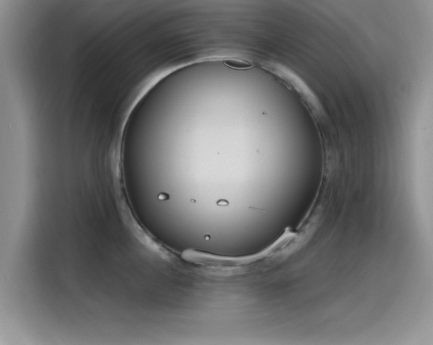 X0000115650860200911171441