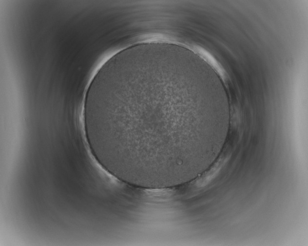 X0000115650863200911171441